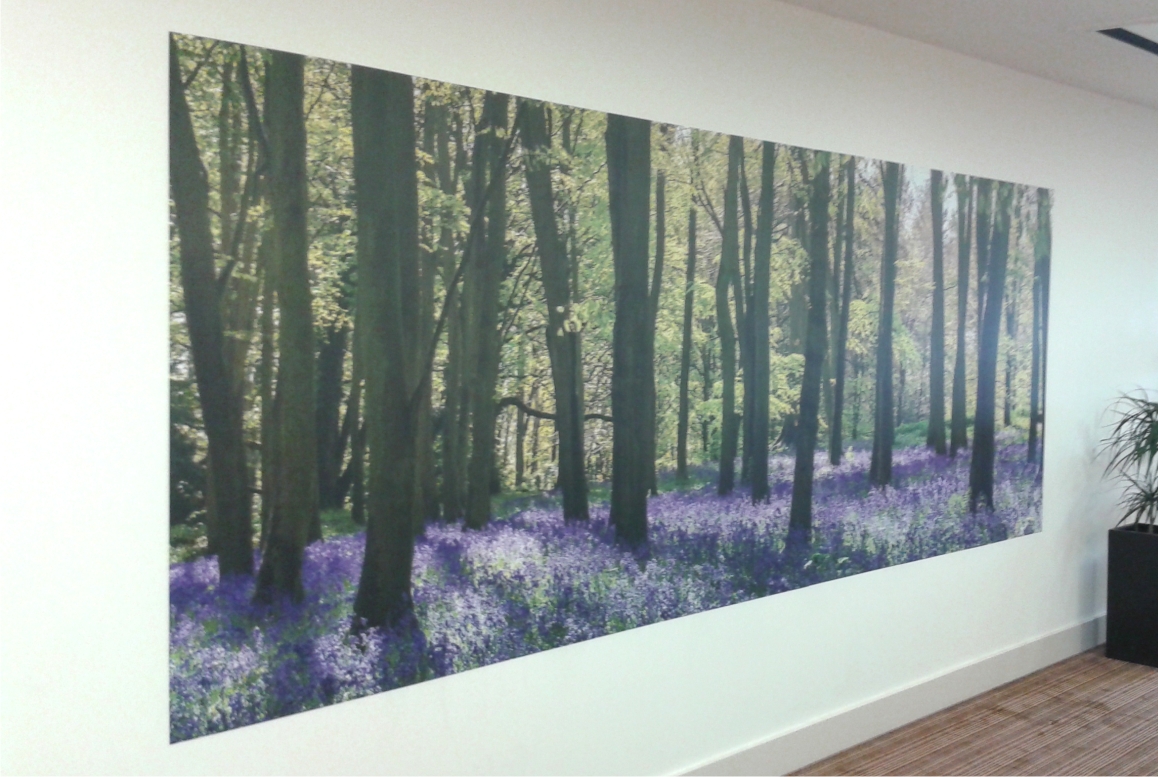 Wall Mural installed by M Signs